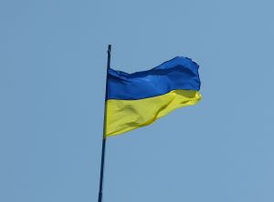 Новость - События - Луганчане о Дне Независимости: "Просто еще один выходной" и "Это как второй День Рождения"