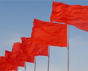 Красные знамена будут развеваться в Луганске до 22 июня. Фото: obozrevatel.com