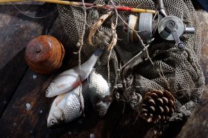 С 1 апреля ограничат вылов рыбы и раков. Фото: sxc.hu