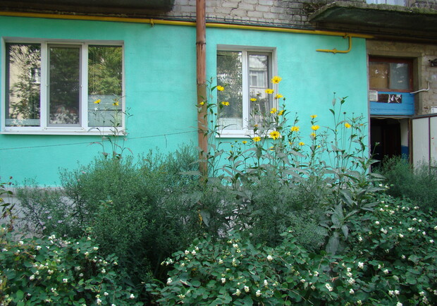 Жители Луганска не только утепляют фасады, но еще и раскрашивают их в яркие цвета. Фото: "В городе".