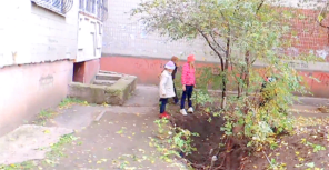 Во дворе многоэтажки разрыли очередную яму "с сюрпризом" Фото: РИРА Донбасс