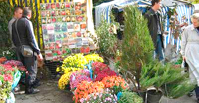 В Луганске устроят ярмарку цветов и растений. Фото old.vp.donetsk.ua.