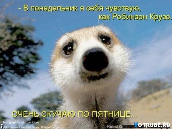 Увы, понедельник сегодня. А вы возьмите и улыбнитесь)
Фото: images.yandex.ua