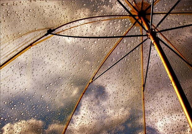 Какой добрый и ласковый дождь! 
Фото: images.yandex.ua