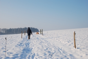 Луганчане из-за морозов все чаще получают обморожения. Фото: www.sxc.hu