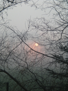 Понедельник порадует луганчан хорошей погодой. Фото: www.sxc.hu
