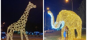 Светятся в темноте: в Харькове появились фигуры слона и жирафа