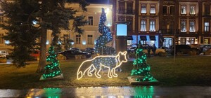 Новогодний лес и огромный подарок: праздничные фотозоны в центре Одессы 