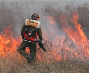 Спасатели ожидают лесных пожаров. Фото с сайта farm5.static.flickr.com.	
