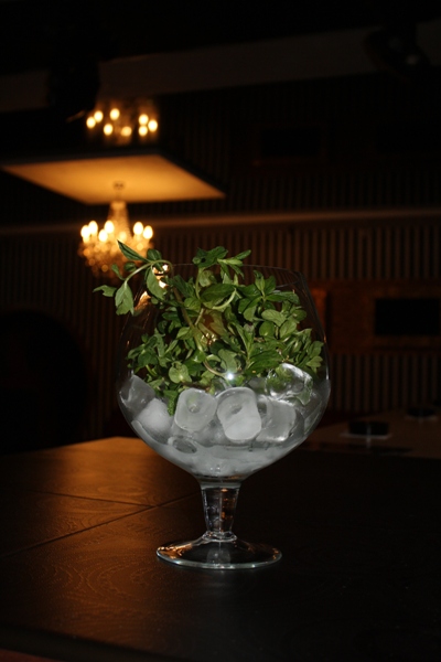 Мята и лед - самые популярные ингредиенты для летних коктейлей. Фото: vgorode