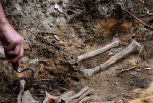Луганские археологи провели раскопки на левобережье Северского Донца. Фото: sxc.hu