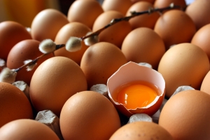 В супермаркетах Луганска Пристюку предложили просроченные  яйца. Фото: sxc.hu
