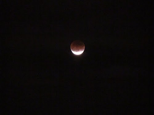 Луганчане на выходных наблюдали полное лунное затмение. Фото: Светлана Жаворонкова. 