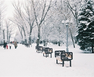 Сегодня в Луганске будет также холодно, как и вчера. Фото: vk.com