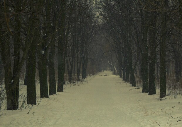 Новость - События - Самый страшный и самый романтичный парк Луганска: греческие колонны, замерзшая река и зимняя сказочная  дорога