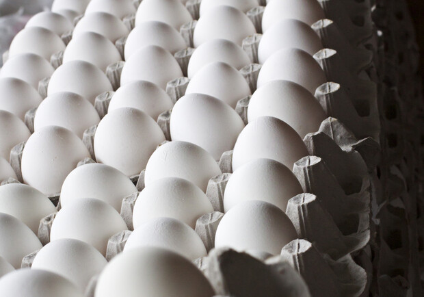 Луганские супермаркеты предупредили относительно яиц. Фото: sxc.hu