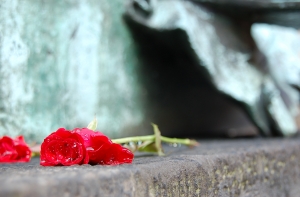 Стали известны подробности трагической гибели ребенка в Ровеньках. Фото: sxc.hu