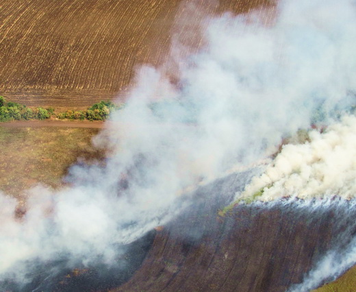 На Луганщине продолжаются пожары из-за возгорания сухостоя. Фото: www.lugansk.mns.gov.ua