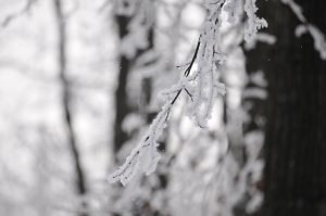 Завтра в Луганске снег. Фото: sxc.hu