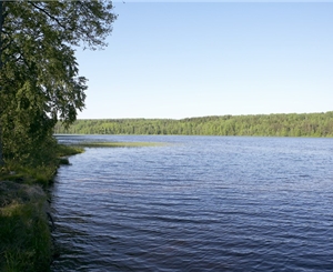 В выходные нужно быть предельно осторожными на воде
Фото с сайта greenside.ru
