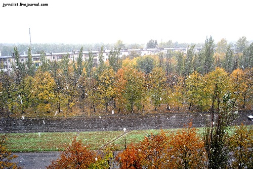 Новость - События - В Луганске выпал первый снег