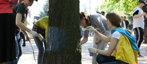 Новость - События - Деревья в  Луганске "одели"  в цвета украинского флага