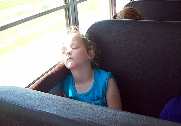 Фото с сайта <a href="http://teachinglittlemiracles.blogspot.com/2012/05/field-trip-to-zoo-sleeping-kids.html"></a>.