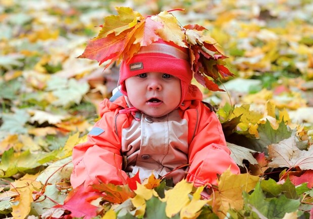 Видите, осень совсем не мрачная.
Фото: images.yandex.ua