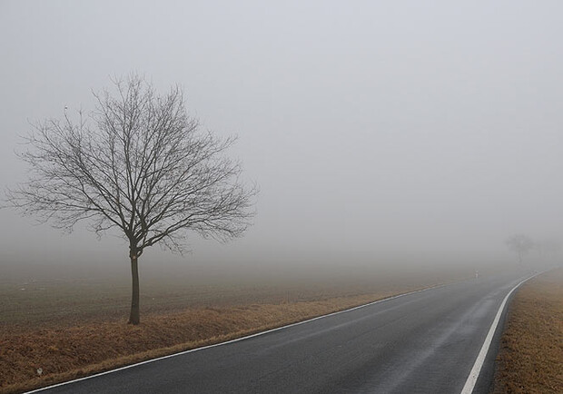 Видимость в тумане - менее 500 метров. Фото: ru.tsn.ua
