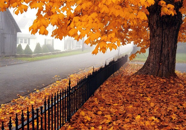 Осень - время поэтов.
Фото: search.icq.com