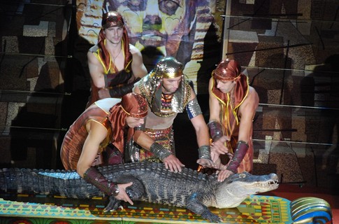 Одновременно на сцене во время шоу находятся 16 рептилий. Фото: www.segodnya.ua
