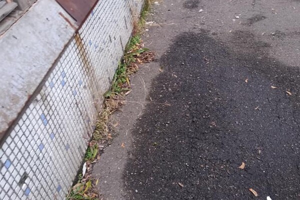 Трещины на стенах и убитая дорога: школа на Тополе находится в плачевном состоянии (фото) фото 9