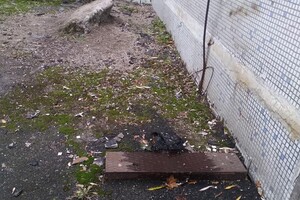 Трещины на стенах и убитая дорога: школа на Тополе находится в плачевном состоянии (фото) фото 11